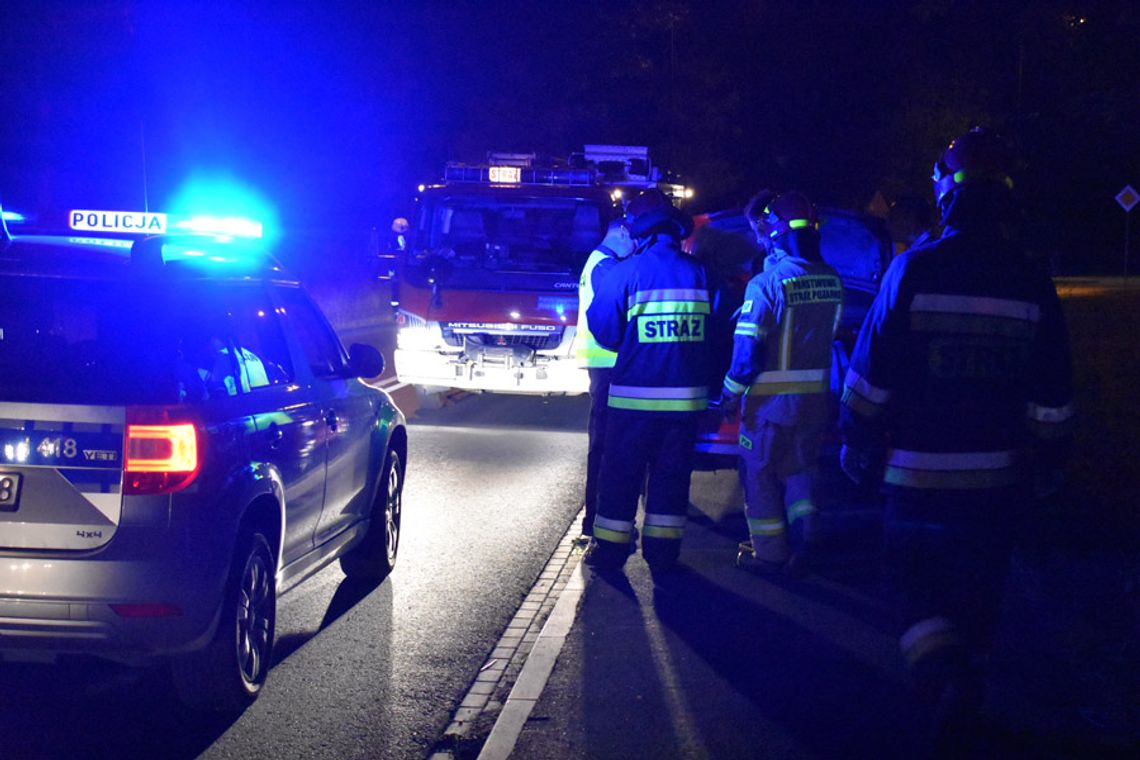 Zderzenie z dzikiem zakończone interwencją straży pożarnej i policji