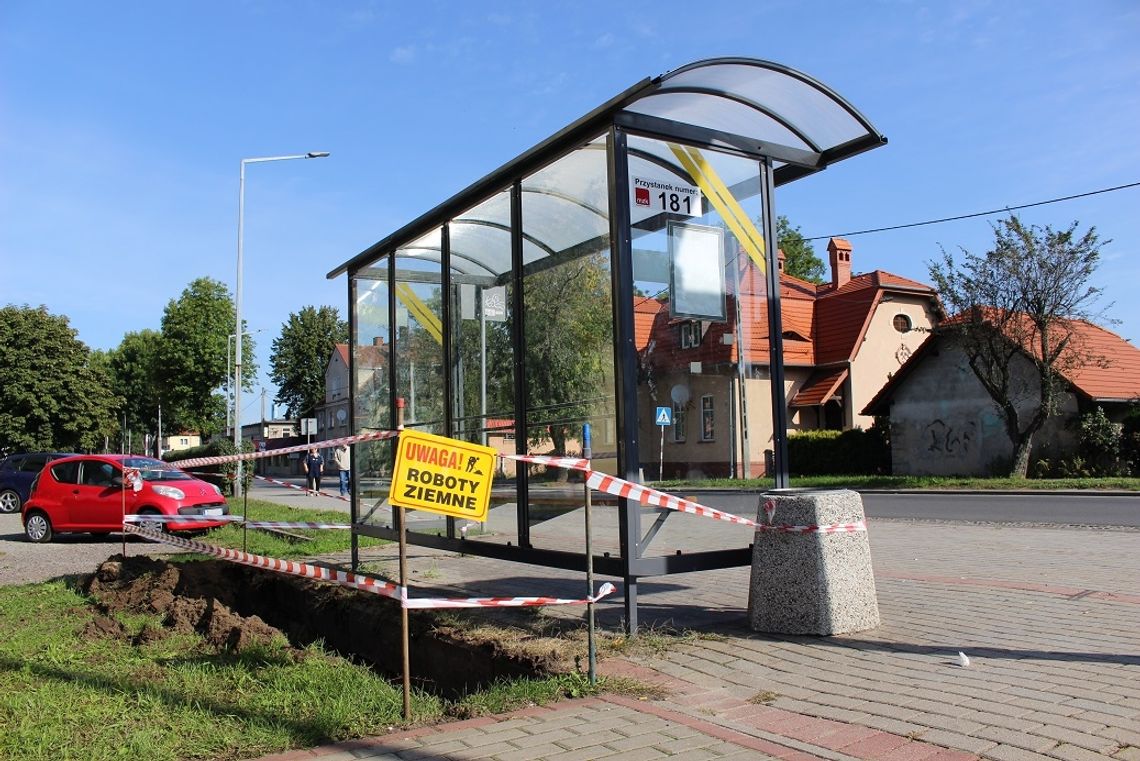 Zielony przystanek w Kędzierzynie-Koźlu. Na autobus poczekasz w otoczeniu bluszczy, traw i krzewów