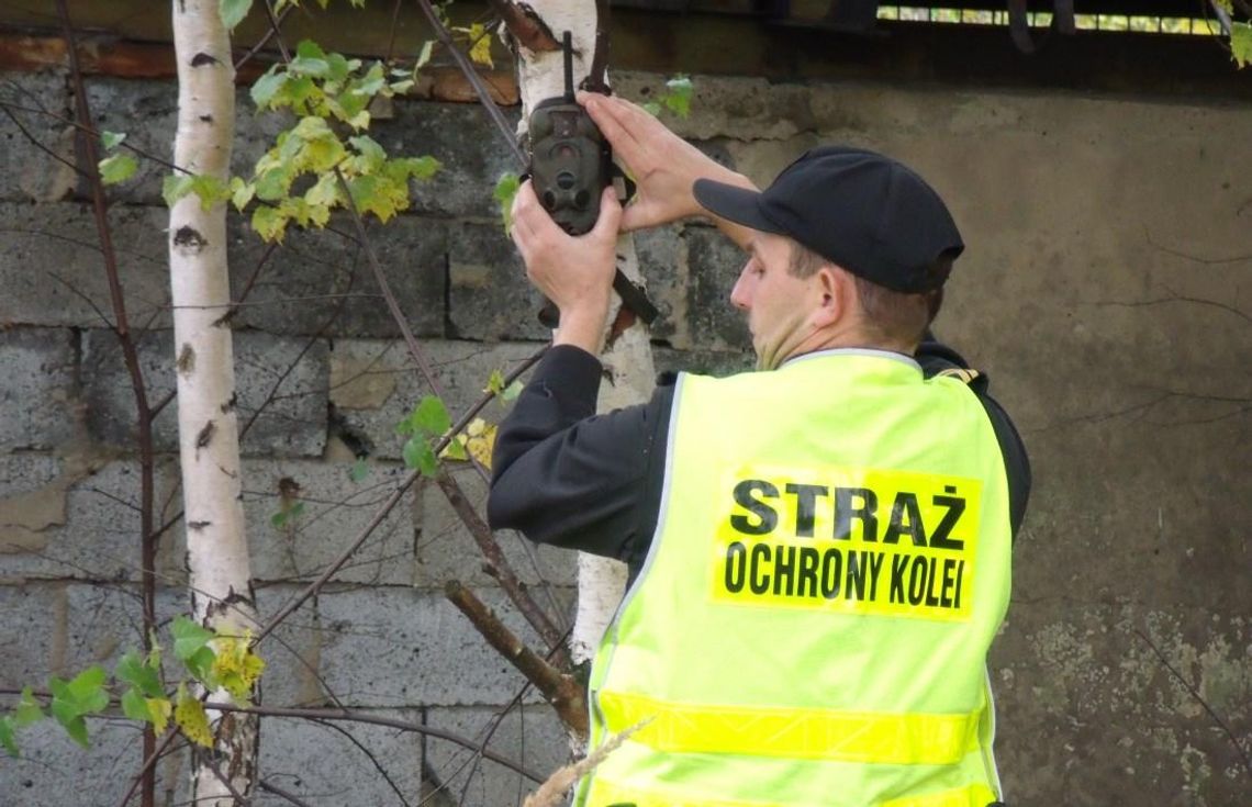 Złodzieje kolejowi wpadli na gorącym uczynku. Fotopułapka zarejestrowała kradzież