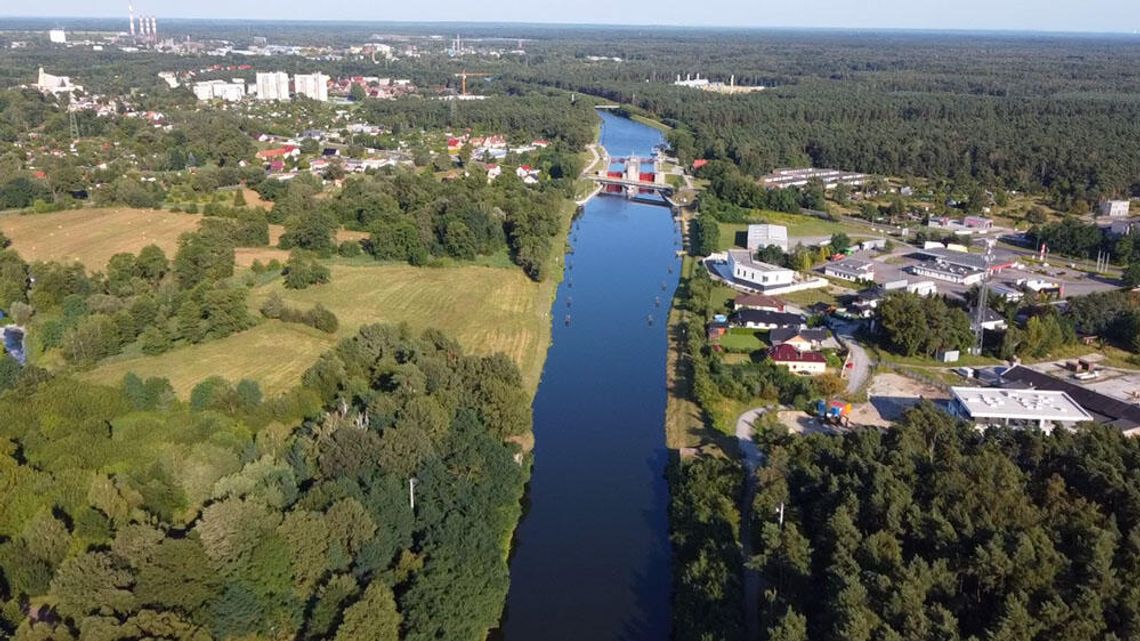 Złota alga znowu niebezpiecznie namnaża się w Kanale Gliwickim. Wprowadzono I stopień zagrożenia na punkcie kontrolnym w Pławniowicach