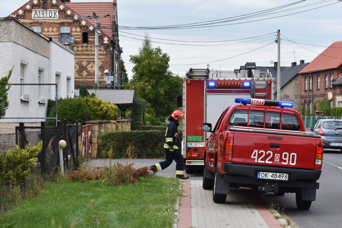 Żmija dostała się pod elewację budynku mieszkalnego. Interweniowali strażacy