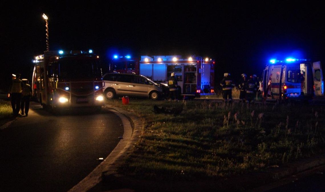 Znowu wypadek w Reńskiej Wsi. Jedno z aut wpadło na posesję. Są poszkodowani. ZDJĘCIA