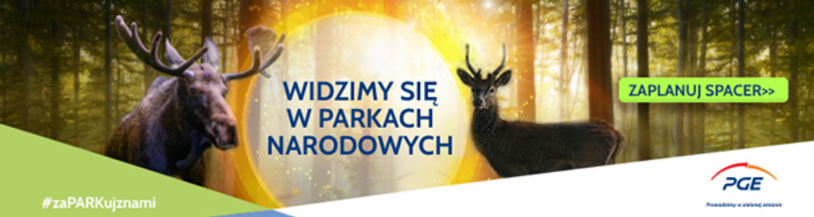 Zobacz jesienną odsłonę Parków Narodowych współpracujących z PGE