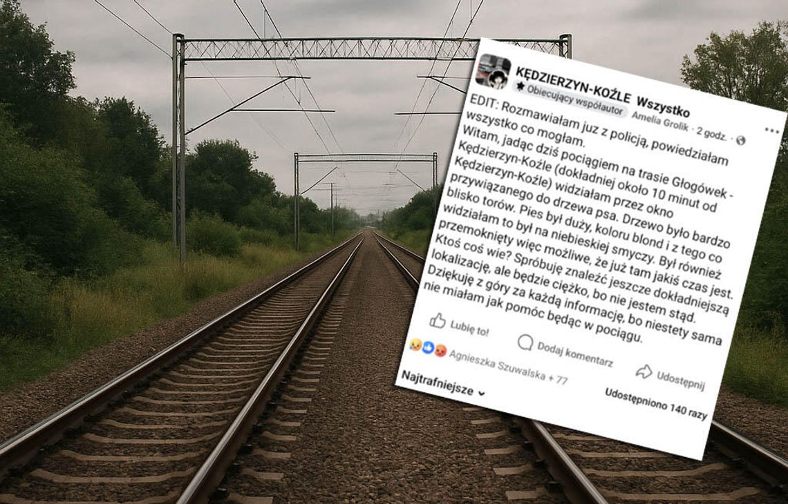 Zobaczyła psa przywiązanego przy torach. Ludzie ruszyli na pomoc. Wzruszająca mobilizacja po jednym poście