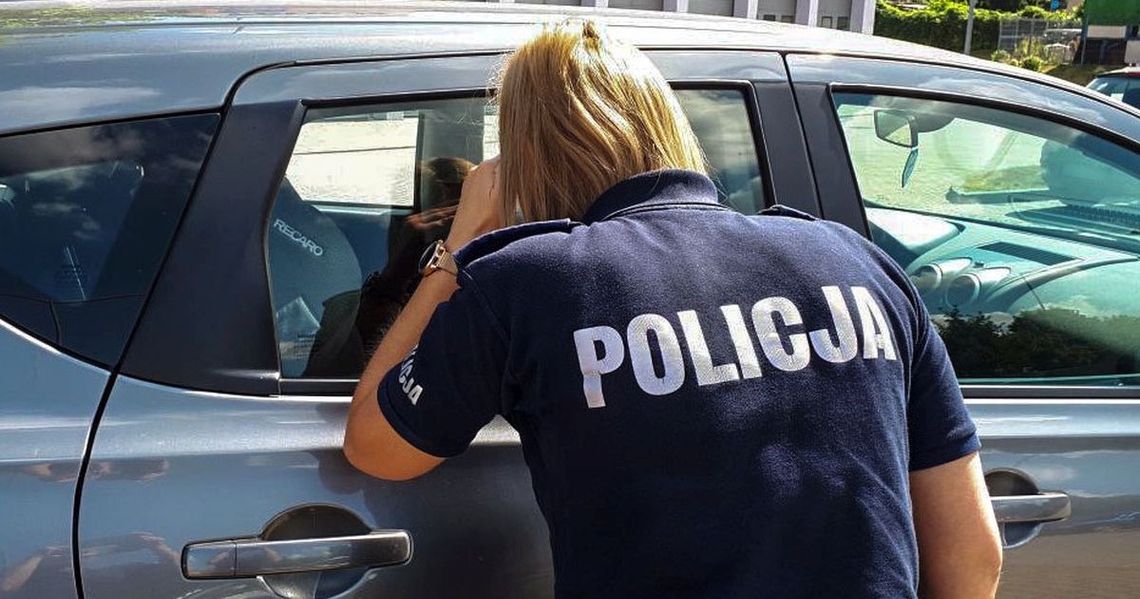 Zostawił psa w nagrzanym samochodzie i poszedł na saunę. 53-latek będzie tłumaczył się w sądzie