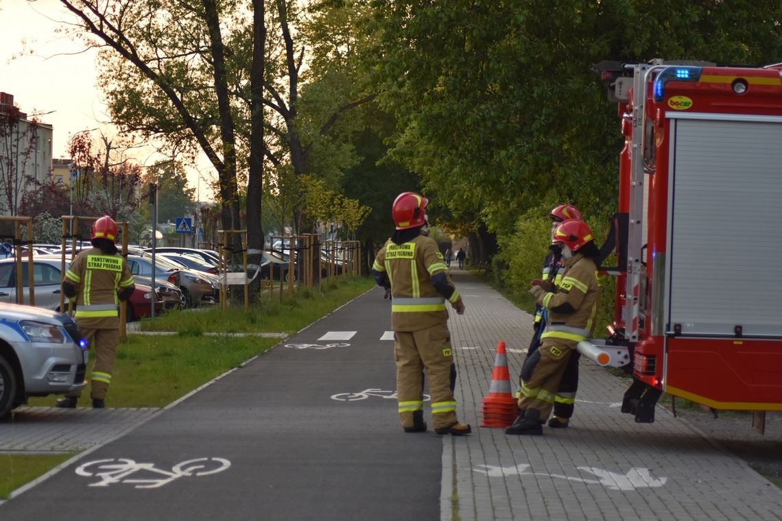 Zwisający konar nad zaparkowanymi samochodami. Interwencja służb przy ulicy Wojska Polskiego