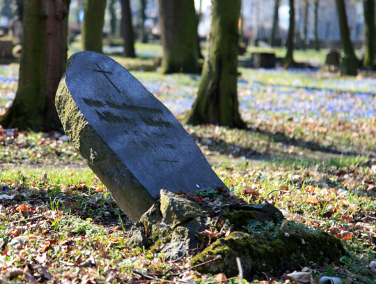 stary cmentarz w Koźlu ulica Racławicka  (12)