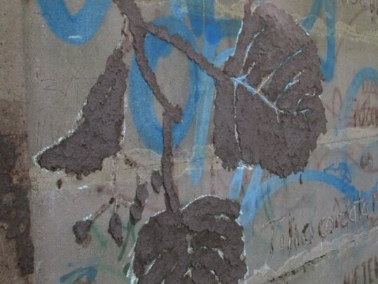 zielone graffiti (9)