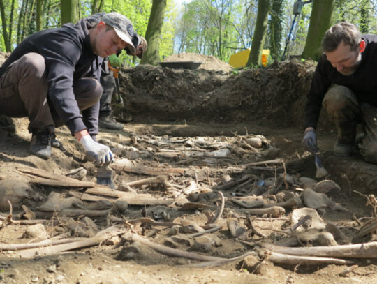 ekshumacje koźle stowarzyszenie pomos (16)