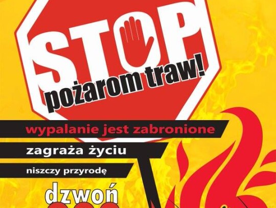 Młodzieżowa Drużyna Pożarnicza Dziergowice