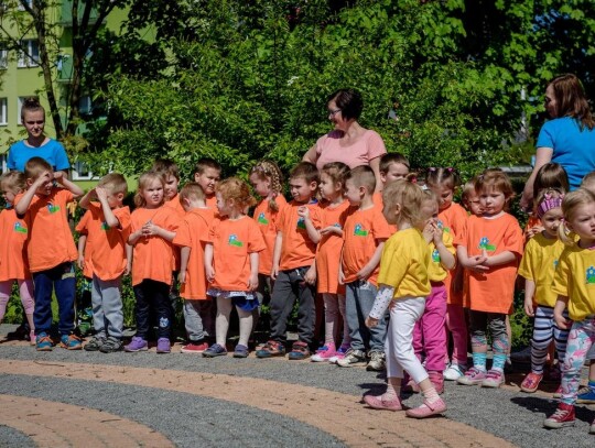 Optymistyczne przedszkole Kędzierzyn-Koźle