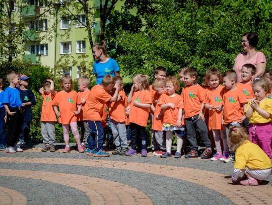 Optymistyczne przedszkole Kędzierzyn-Koźle