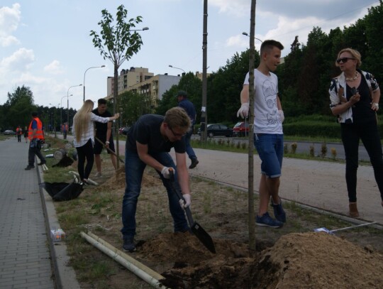 Młodzieżowa Rada Miasta Kędzierzyn-Koźle posadziła drzewka