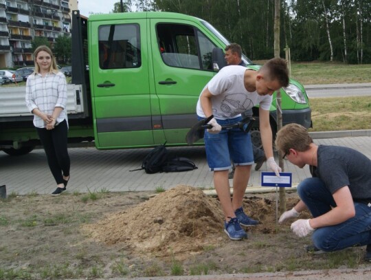 Młodzieżowa Rada Miasta Kędzierzyn-Koźle posadziła drzewka