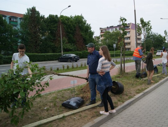 Młodzieżowa Rada Miasta Kędzierzyn-Koźle posadziła drzewka