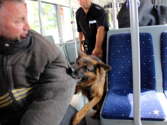 Szkolenia policjantów z psami w Kędzierzynie-Koźlu