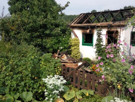 Pożar na terenie ogródków działkowych w Kędzierzynie-Koźlu