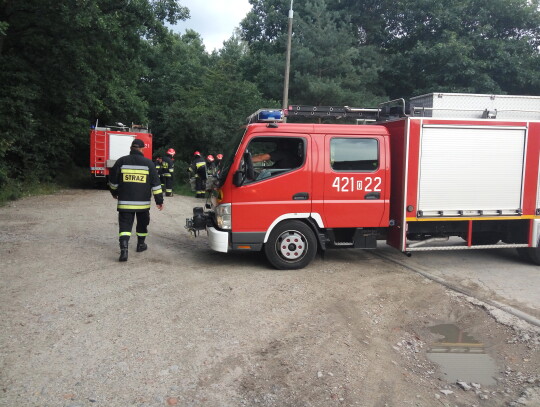 Pożar koczowiska w lesie przy ulicy Powstańców w Kędzierzynie-Koźlu