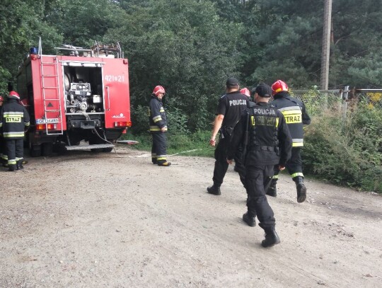 Pożar koczowiska w lesie przy ulicy Powstańców w Kędzierzynie-Koźlu