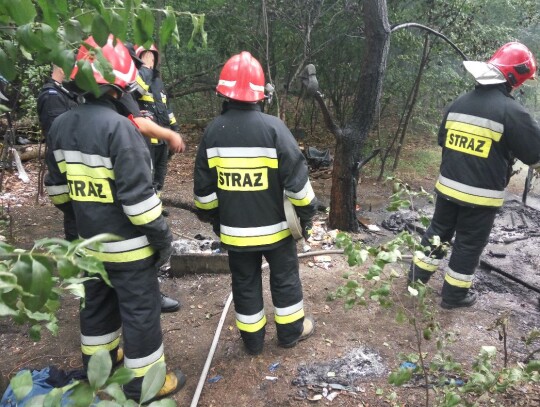 Pożar koczowiska w lesie przy ulicy Powstańców w Kędzierzynie-Koźlu