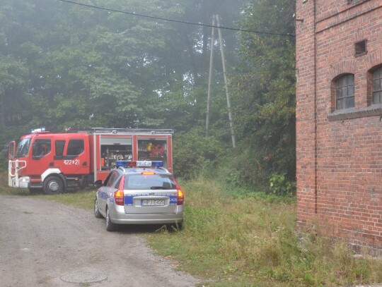 Pożar na wyspie w Koźlu