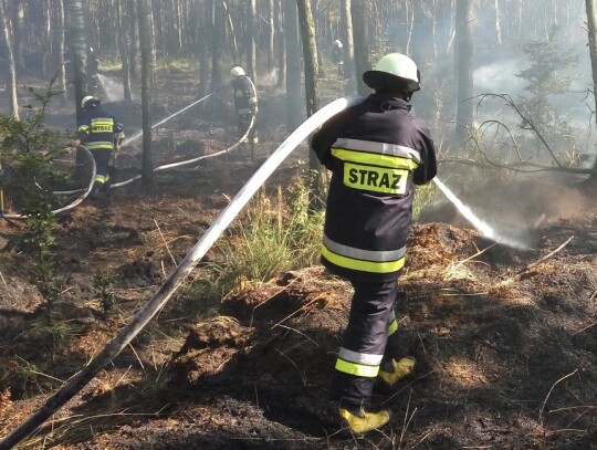 Pożar lasu w Starej Kuźni