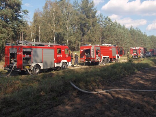 Pożar lasu w Starej Kuźni