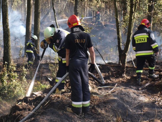 Pożar lasu w Starej Kuźni