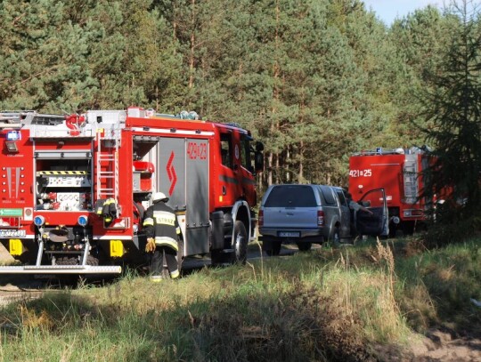 Pożar lasu w Starej Kuźni