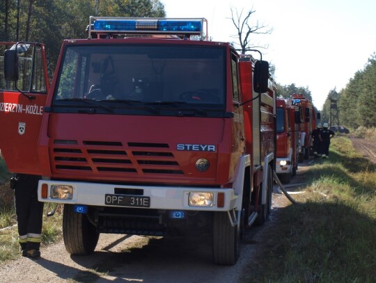 Pożar lasu w Starej Kuźni