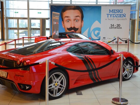 Ferrari w Odrzańskich Ogrodach