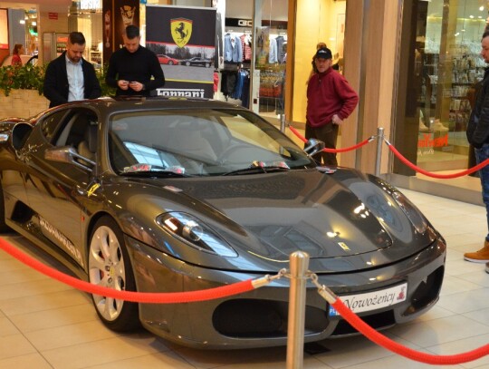 Ferrari w Odrzańskich Ogrodach