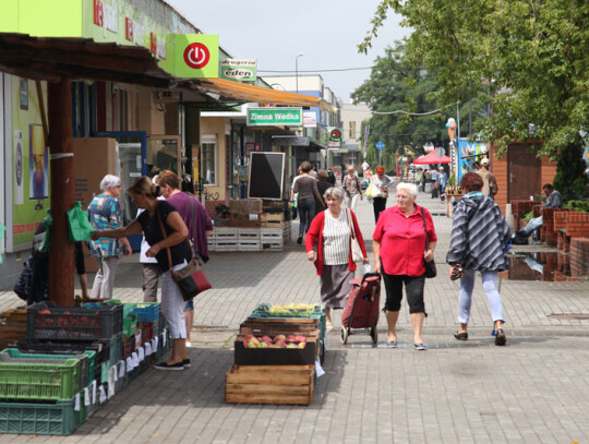 wojska polskiego remont (2)