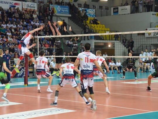 Zaksa Kędzierzyn-Koźle - Aluron Virtu Warta Zawiercie