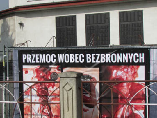 zdjęcia antyaborcyjne kościół (1)