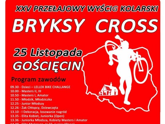 bryksy cross