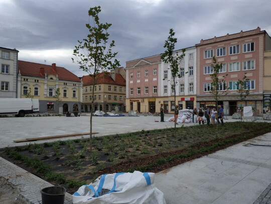 kozielski rynek 1