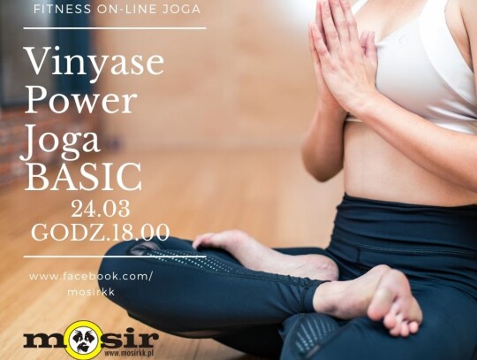 Vynasa Power Joga basic