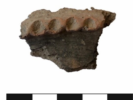 Fragment naczynia ceramicznego