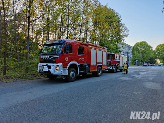 poszukiwania kedzierzyn-kozle (2)