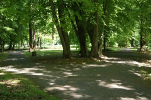 Sławięcicki park szczególnie wiosną prezentuje się klimatycznie. Po remoncie ma tu być jeszcze ładniej.
